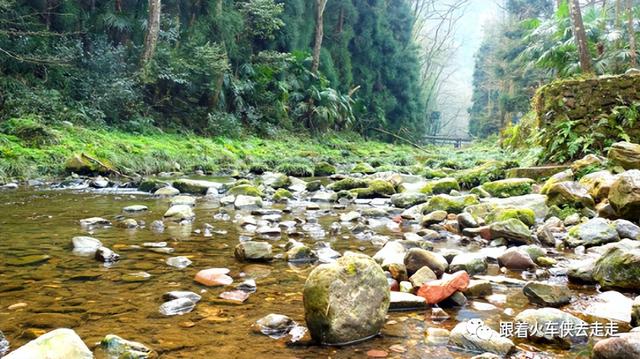 到张家界三日游，魅力湘西张家界三日游