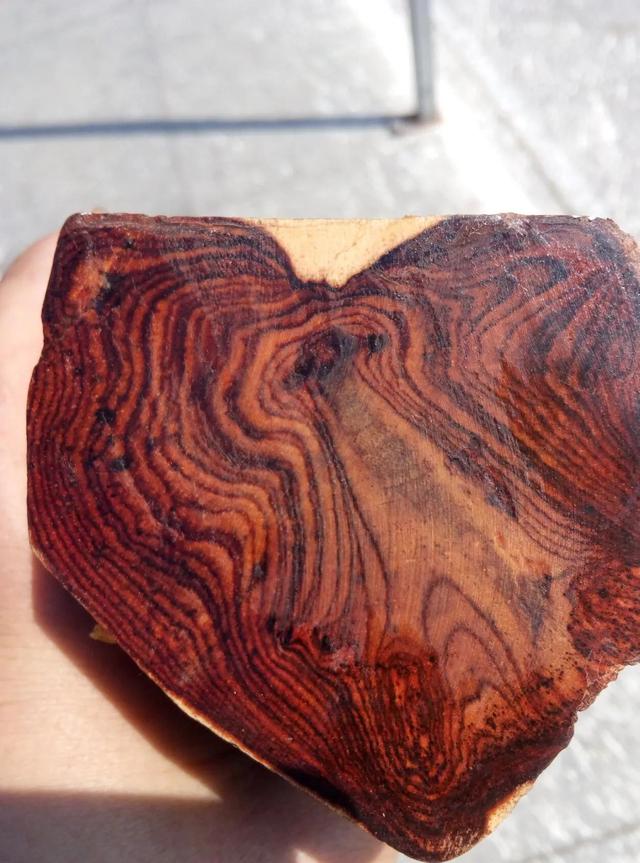 红木是什么木材，明清时期五大专用红木（真正的红木是什么木材）