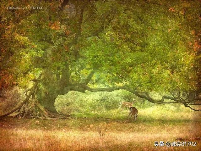 适合秋天的景色，中国十大秋色，哪里最美