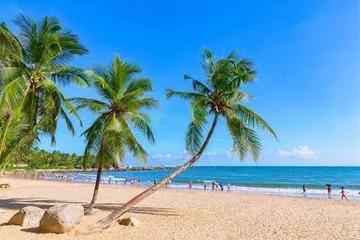 临春岭森林公园，三亚旅游景点近期开放吗