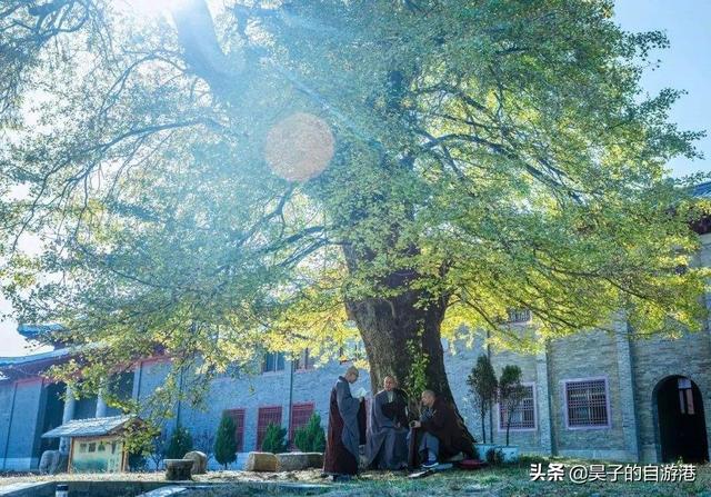 江西十大佛寺，江西最有底蕴的七大佛教名山