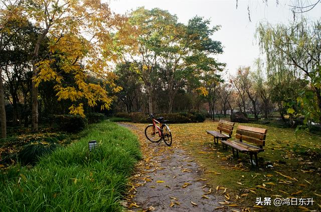 复古情怀胶片相机满满的仪式感，九款实用仿拍立得胶片感APP大测评