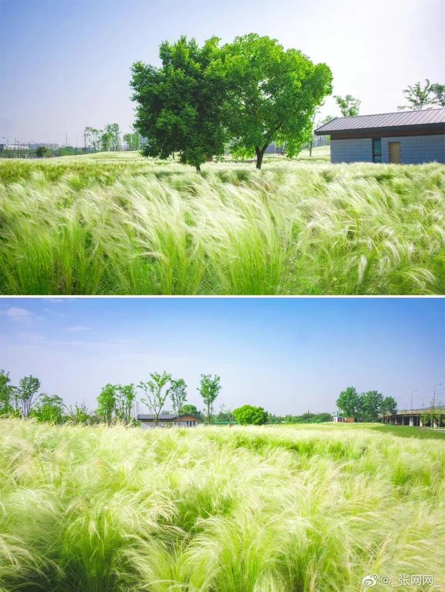 9月成都周边最适合露营，不出成都市区打卡9大露营野餐拍照地