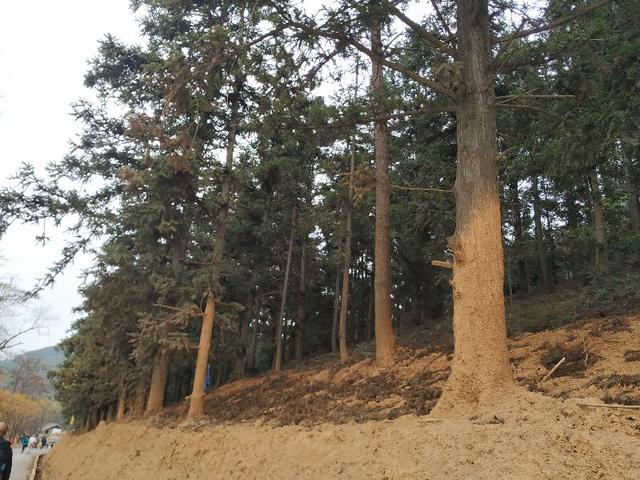 杭州爬山徒步最佳路线轨迹，杭州人的后花园