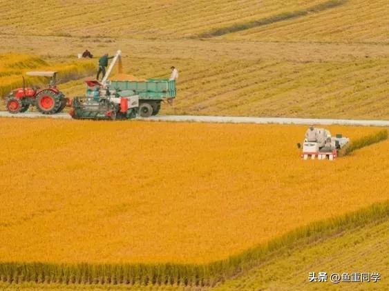 农历九月二十五是否是吉日，九五至尊黄道吉日