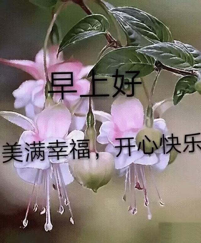早安问候语每日更新，早上好短句早安问候语每日更新（亲切的暖心问候语）
