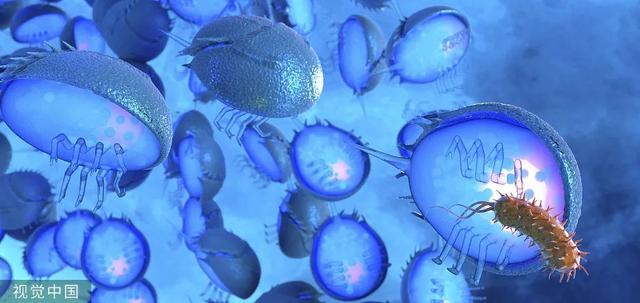 柬埔寨血奴事件，柬埔寨血奴事件发生原因（90后福建女子柬埔寨遭性侵殴打）