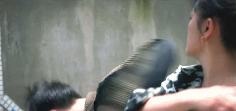 雷佳音个人资料简介，影视剧连出王炸（雷佳音个人资料介绍）