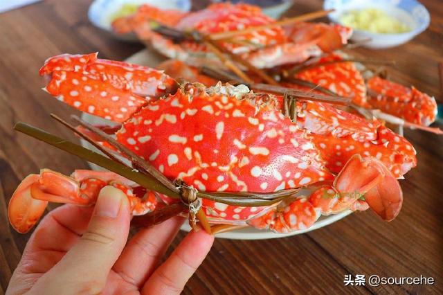 怎样清蒸大闸蟹，清蒸大闸蟹的正确吃法步骤（清蒸大闸蟹怎么做才好吃）