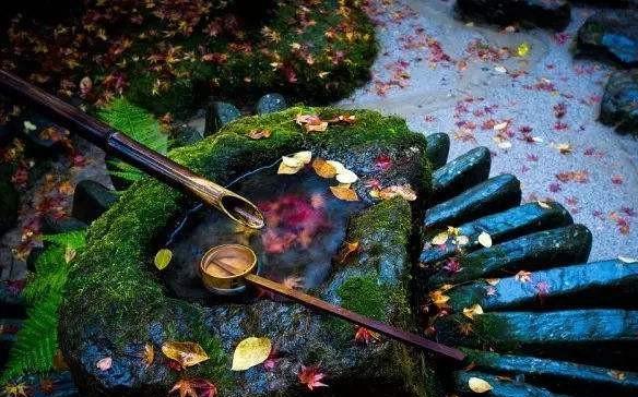 心洁意静不染尘，心若安宁万事从容