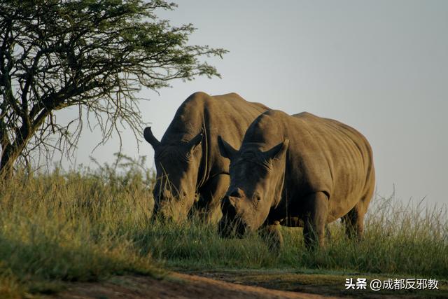 电脑好看的壁纸，10个最佳电脑壁纸（这56张绝美风景）