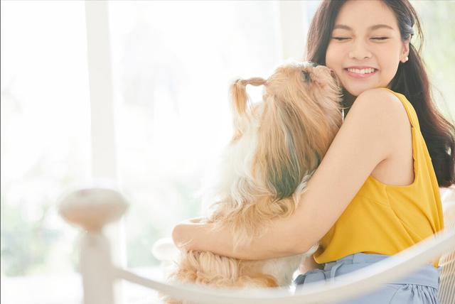 为什么狗狗喜欢舔脚还不让碰脚，狗狗啃你“手跟脚”的原因