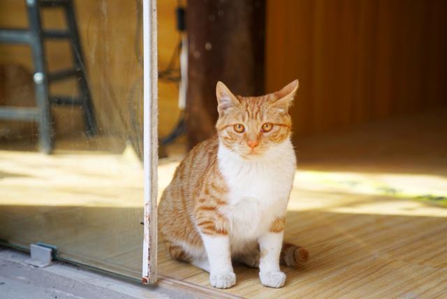 淮安哪个区最繁华，江苏淮安最值得去的地方