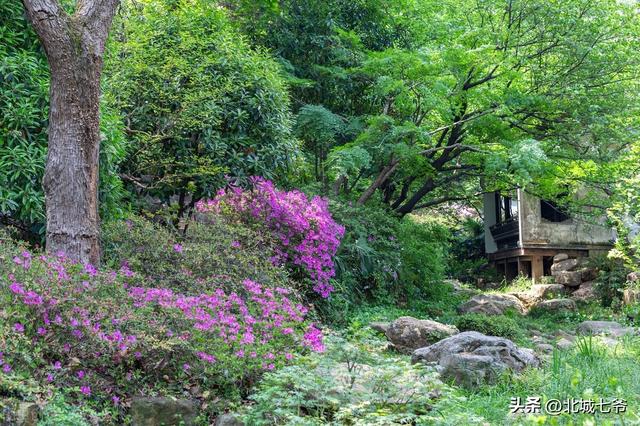 七号公园许嵩，道亭房许嵩