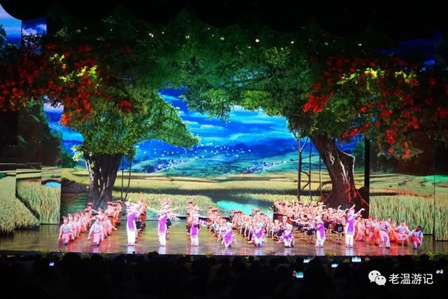 曼听公园游玩攻略，西双版纳曼听公园游览时间（“曼听御花园景区”游记）