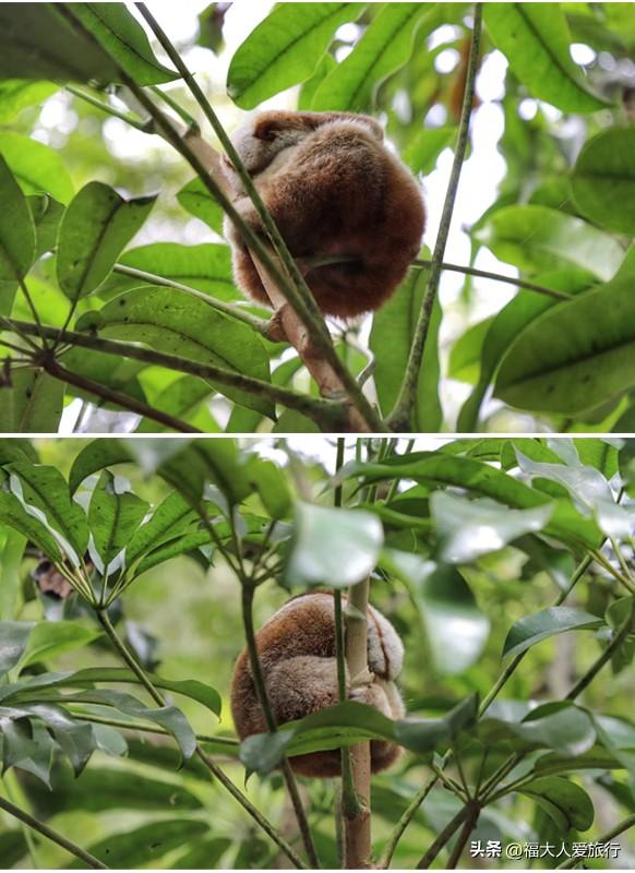 普洱到西双版纳，西双版纳普洱旅游攻略