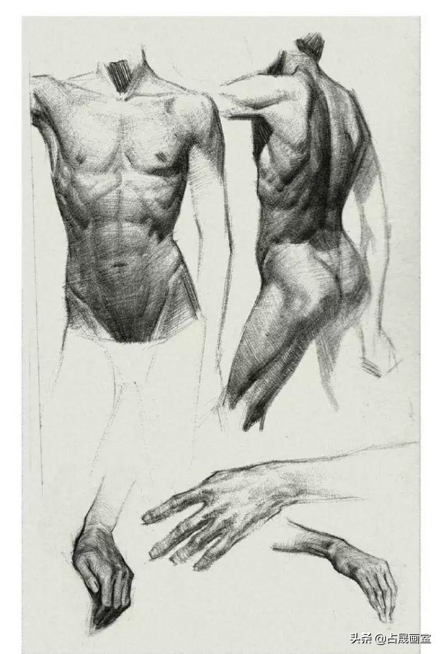 美术初学者如何提高画画水平，要如何快速提高绘画水平