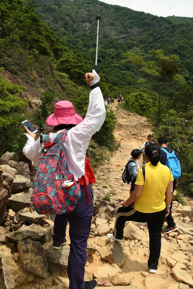 关于深圳梧桐山简介，深圳之巅——梧桐山