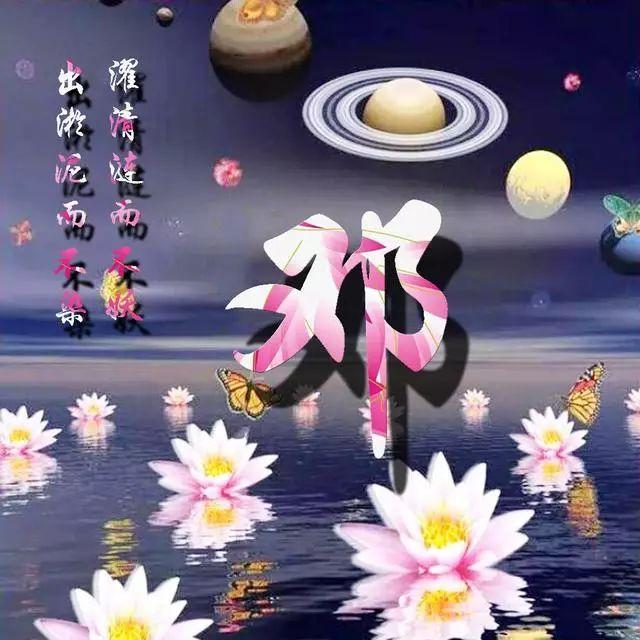 荷花头像图片大全，荷花头像高清图