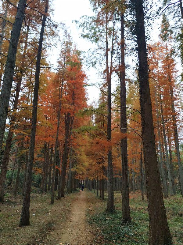 杭州爬山徒步最佳路线轨迹，杭州人的后花园