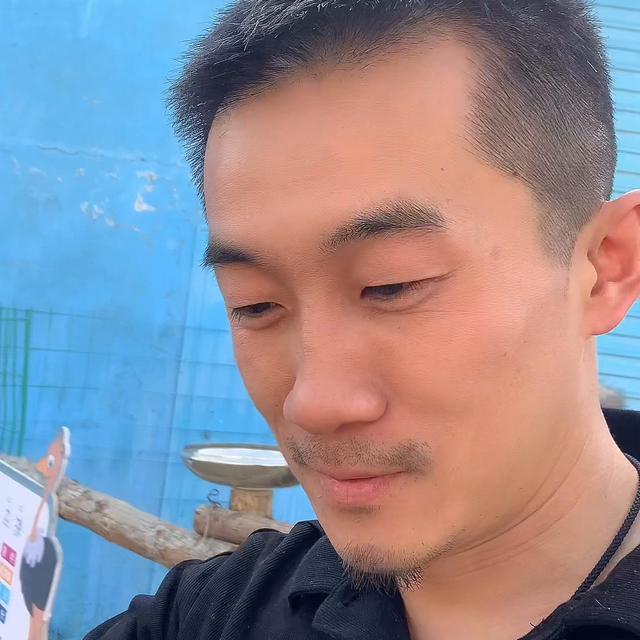 肥胖蜜袋鼯(蜜袋鼯减肥)