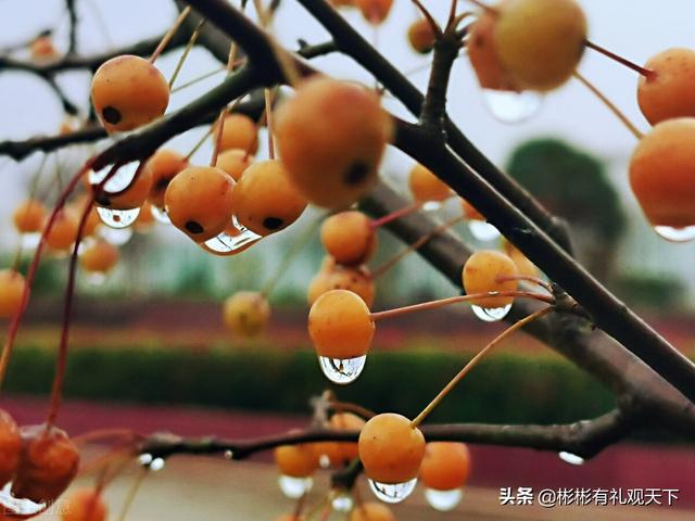 人生三大喜和四大悲，人生所谓四大悲事