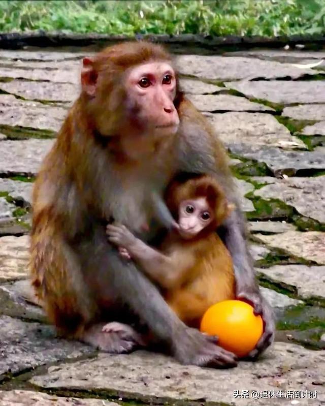 去张家界跟团游，张家界旅游纯玩团攻略和花费