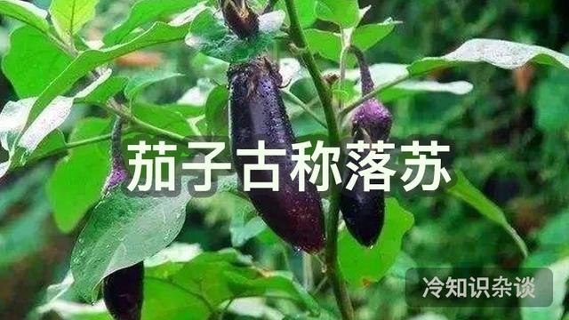 古代雅称全部，古代很多东西的雅称真好听