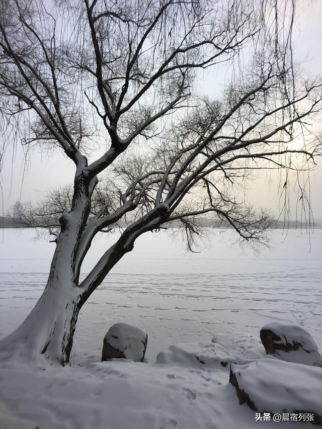 长春旅游景点大全，长春景点推荐