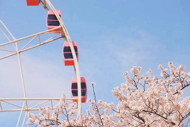 顾村公园亲子旅游攻略图，在上海顾村公园来一场美丽的邂逅