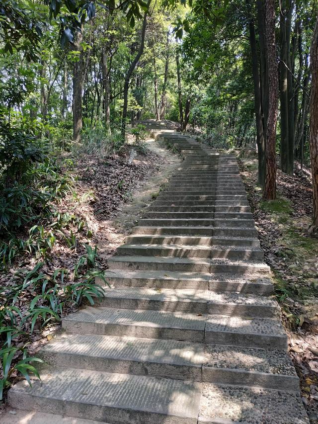 重庆短途摩旅推荐路线，重庆主城摩旅推荐之歌乐山森林公园