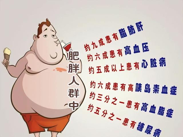 身体肥胖心脑(肥胖的人心脏有什么坏处)