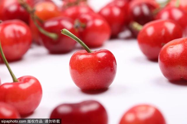 推荐10个樱桃采摘的好去处，市中区采摘园合集