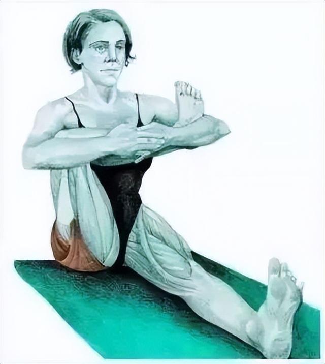 10分钟懒人拉伸训练动作，这6组33个拉伸动作绝了