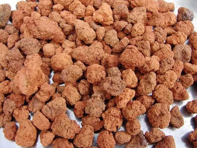 养兰花什么植料最好，这“3种”植料