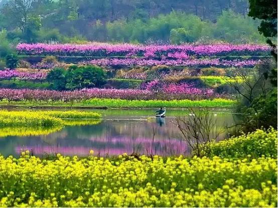 五十三里桃花坞，《五十公里桃花坞》第三季首播