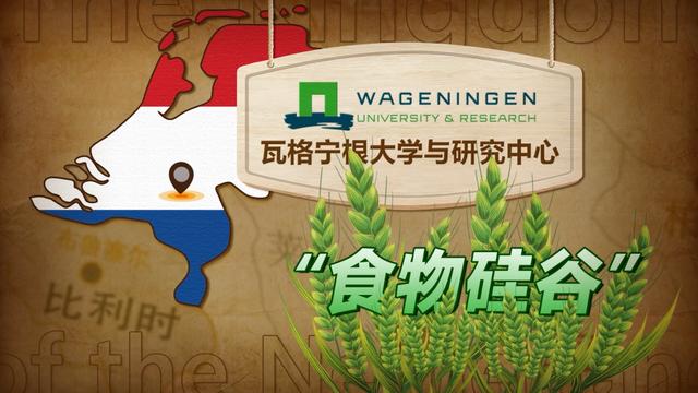 荷兰农业基本情况，面积只有重庆一半的荷兰