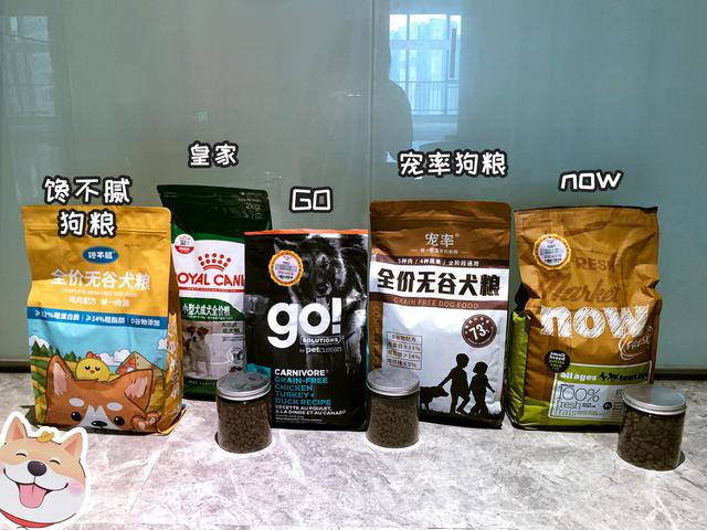 狗狗舔你代表什么，狗狗老是舔你表示什么