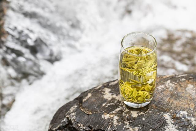 安吉白茶怎么样，安吉白茶一般是什么样的（安吉白茶口感特点）