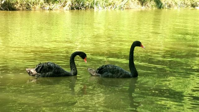重庆万州第一大瀑布，婚外感情中男人追女人是一种什么样的心态