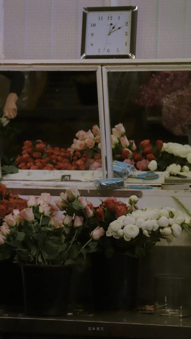 关于玫瑰的文案，玫瑰的唯美文案（有关玫瑰高级又浪漫的文案）