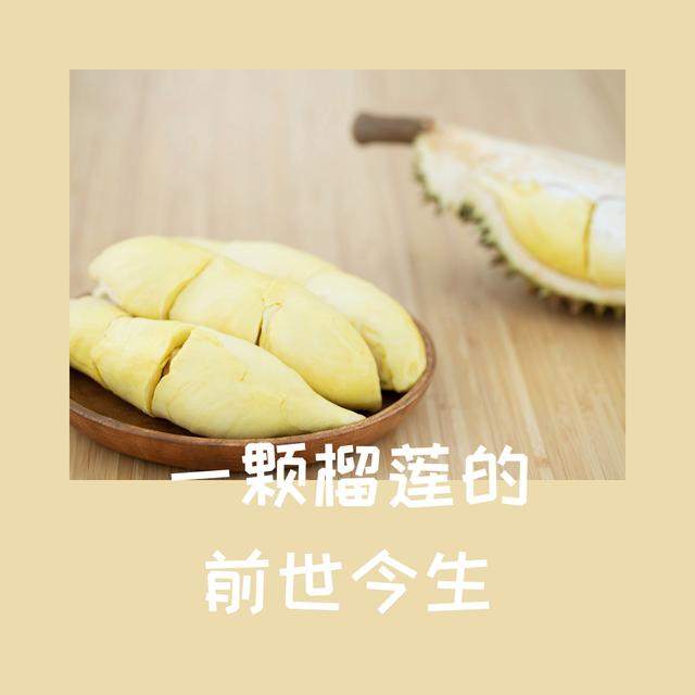 懂一只榴莲背后的故事，洪小鱼一颗榴莲的前世今生