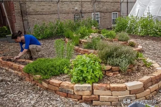 菜园与花园的设计，成就田园生活的食材花园