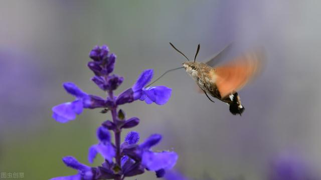 九月文案短句干净治愈，干净到极致适合朋友圈