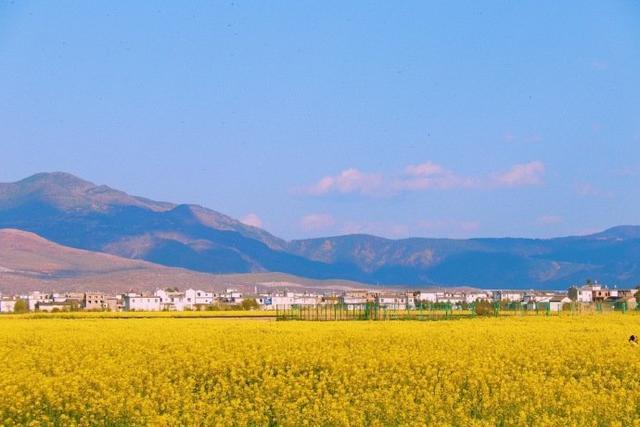 人生悟道50句语录，值得细细品悟的人生格言