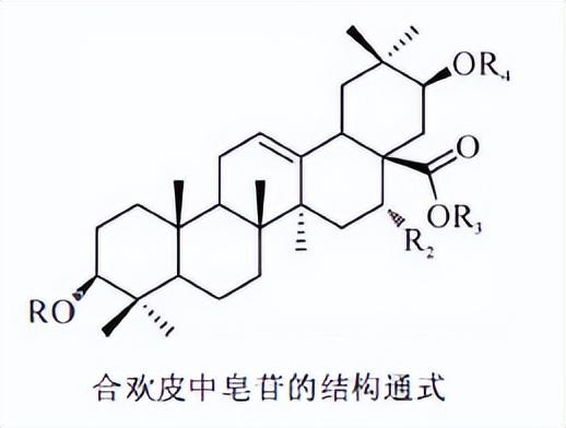 萜类的作用及功能，植物功效成分-三萜及其苷类