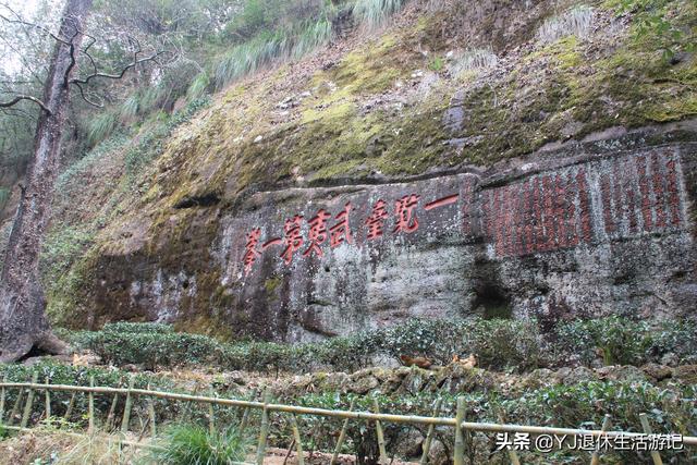 武夷山五日游必去景点，带你穿越千年历史