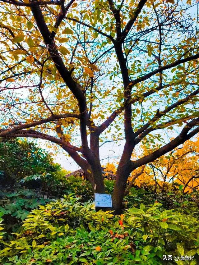徐州一日游攻略，徐州三日游最佳路线