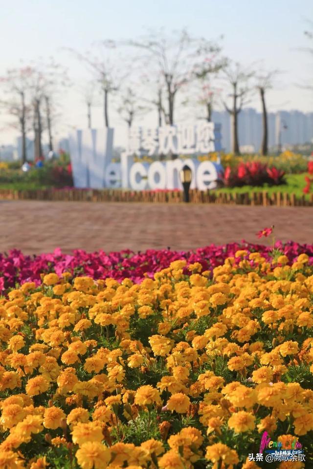 珠海横琴附近旅游景点哪里好玩，广东珠海的热门旅游景点你都知道有哪些呢