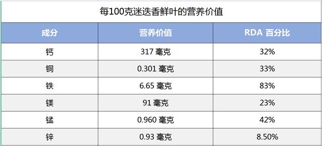 既是世界著名香料，迷迭香到底是什么